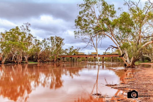 Fortescue Bridge